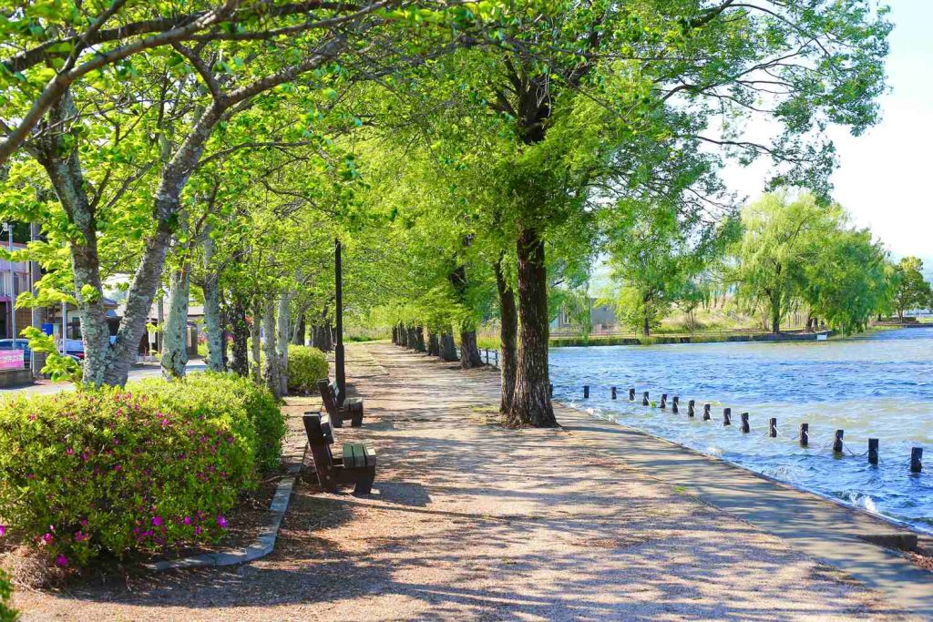 public park with benches