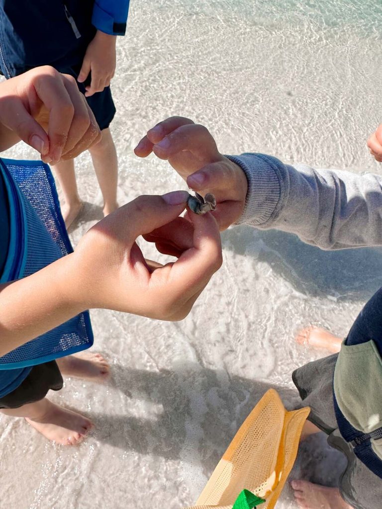 Our kids examining a seashell on the beach.