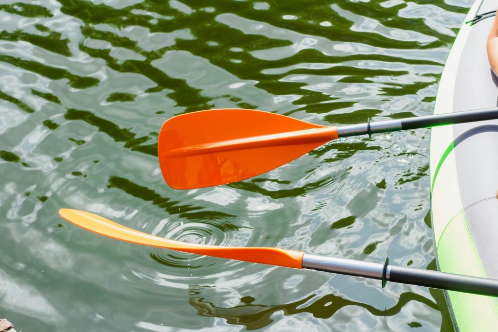 A raft with paddles paddling down a river.