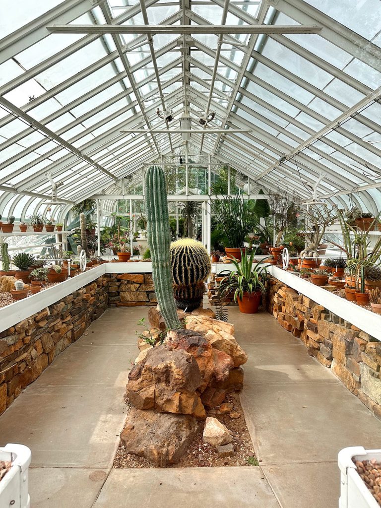The green house at the Tulsa Arboretum. We loved exploring these different types of cactus and other unique plants.