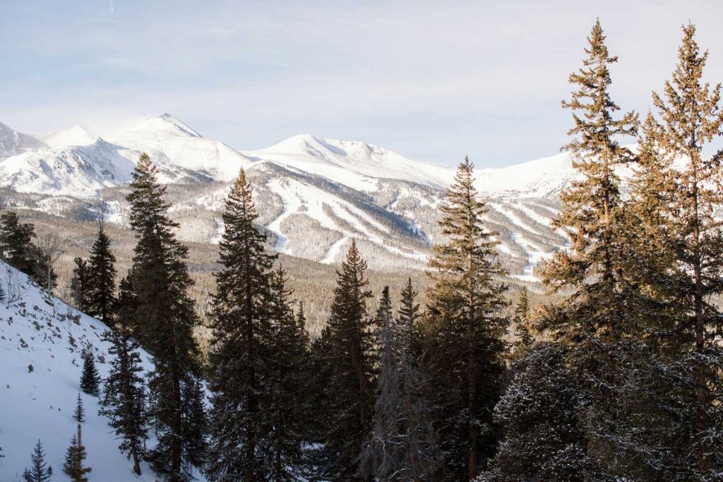 Snow-capped mountains with pine trees in the foreground.