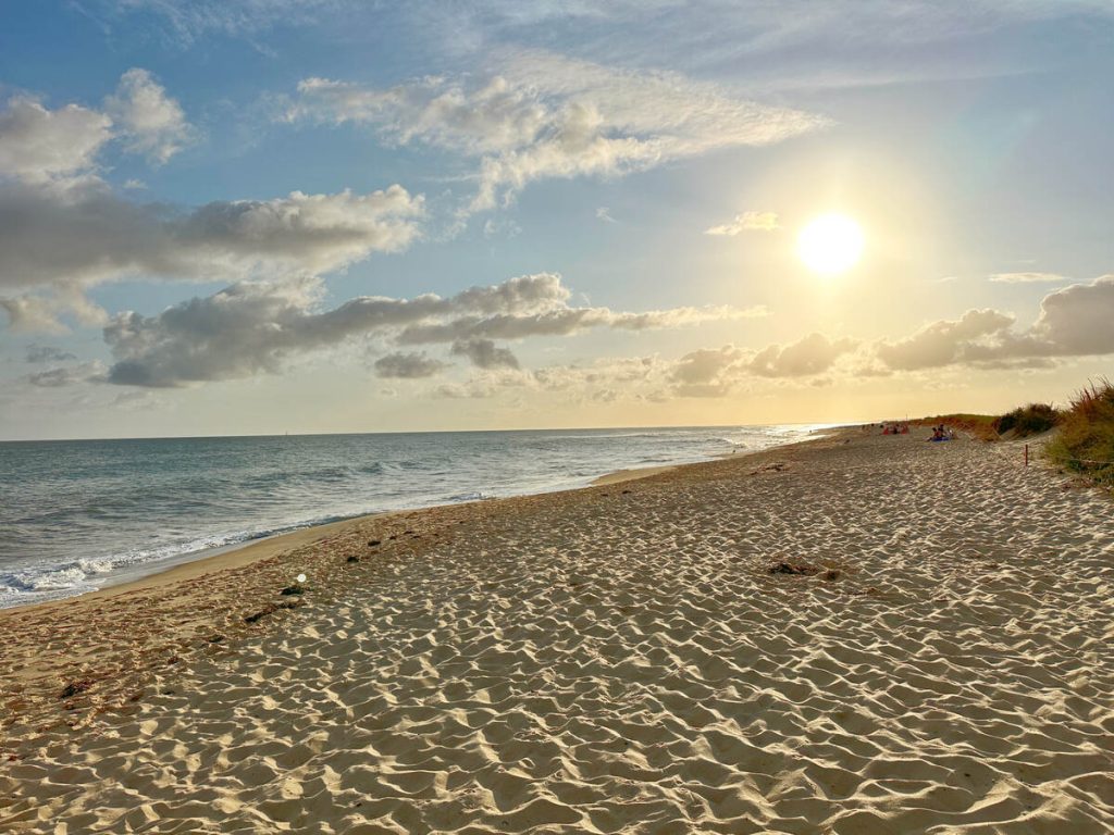 Sandy beach in Martha's Vineyard with sun setting behind a blue ocean.