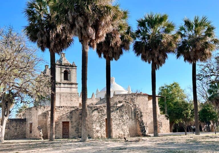 The outside of Mission Concepción with a row of beautiful palm trees in front. Mission Concepción is one of the most beautiful and experiential missions in San Antonio.