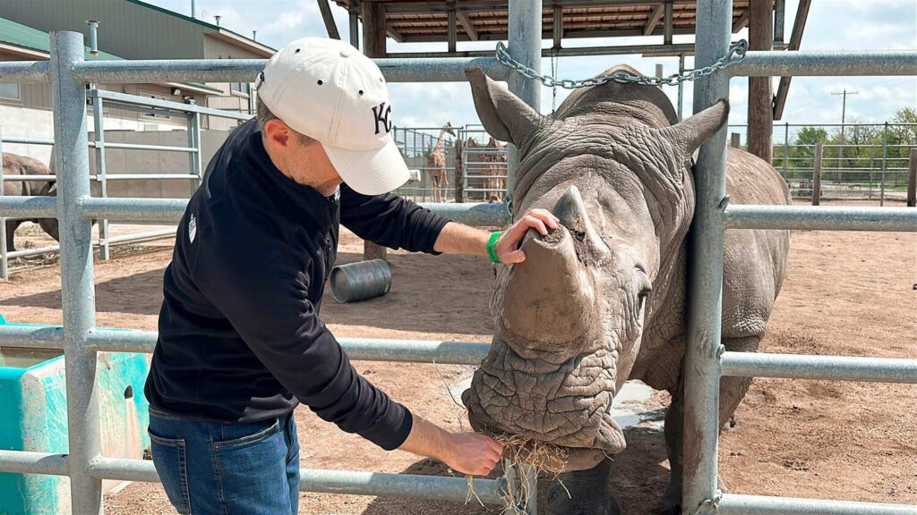 My husband feeding hay to a rhino at Tanganyika Wildlife Park in Kansas.